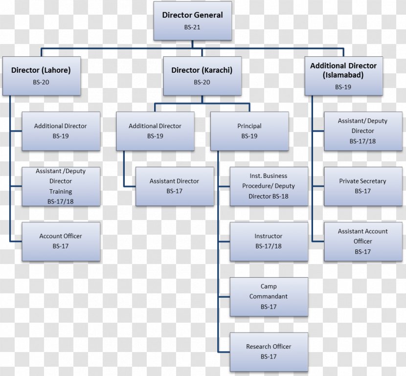 Management Paper Organizational Chart Pakistan - Printing And Writing - Islamabad Transparent PNG