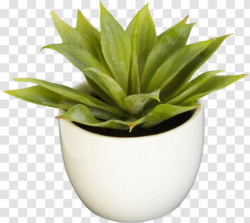 Nearly Natural, Inc. Natural Southwest Collection Agave Succulent Plant Plants - Inc - Pot Transparent PNG