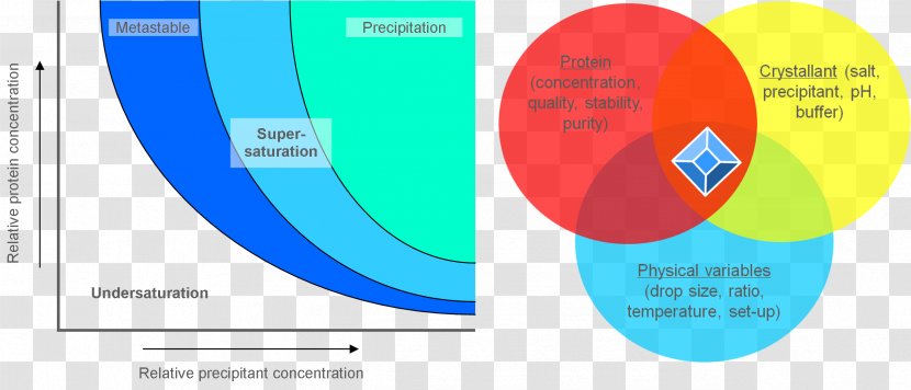 Protein Structure Crystallization Supersaturation - Brand - Online Advertising Transparent PNG