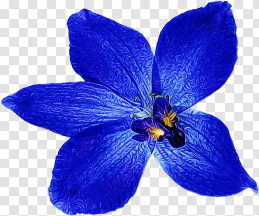 Flowering Plant Blue Flower Petal - Delphinium - Gentiana Iris Transparent PNG
