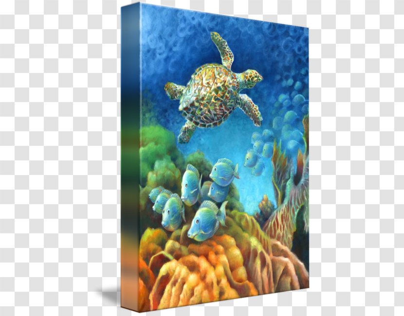 Loggerhead Sea Turtle Coral Reef Fish Underwater - Tortoise - Hawksbill Transparent PNG
