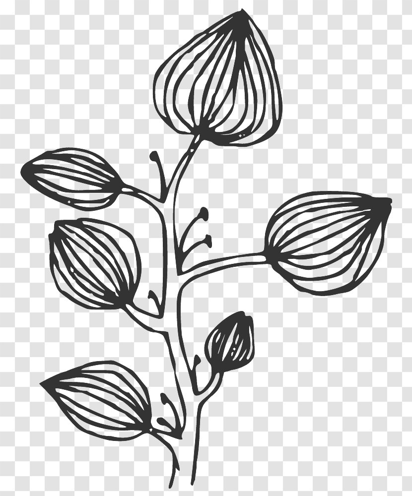 Floral Black Line Art. - Reiki Transparent PNG
