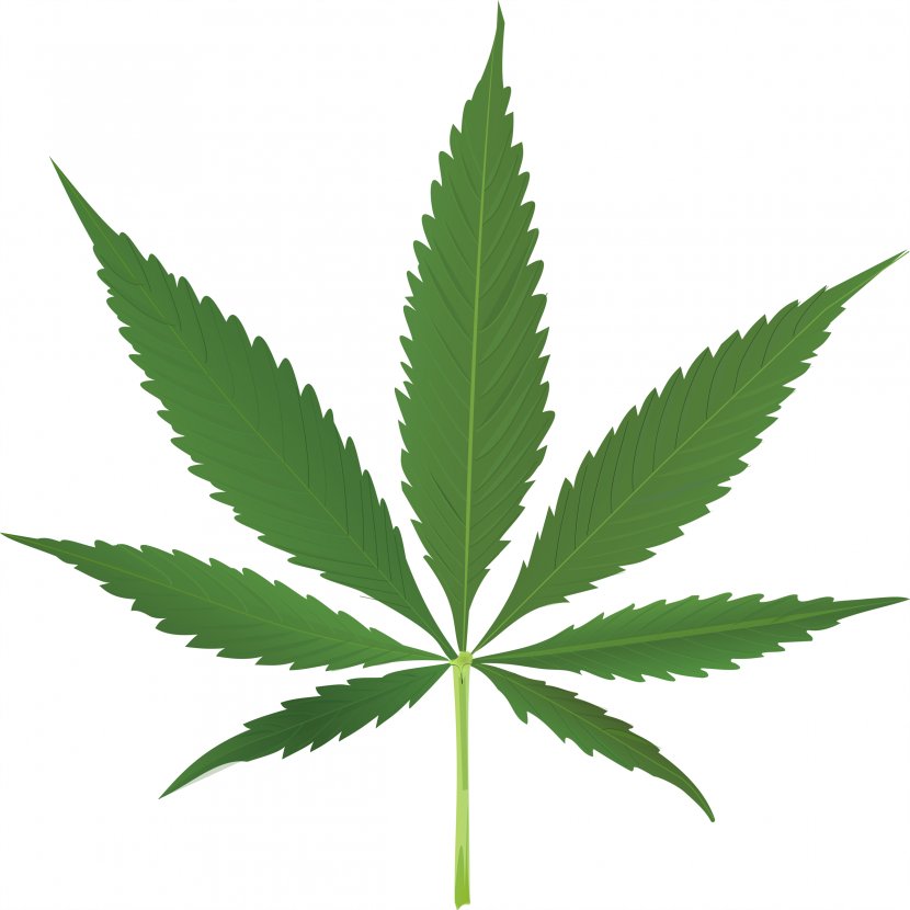 Cannabis Leaf Hemp Clip Art - 420 Day - Skunk Transparent PNG