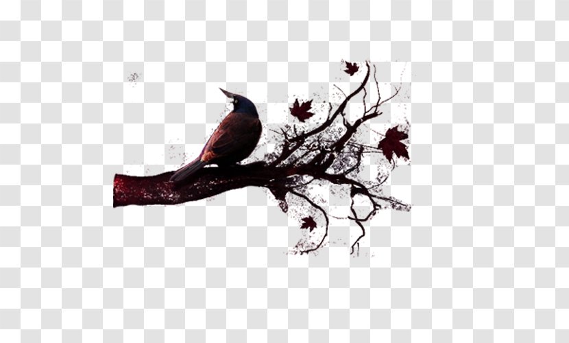 Tree Wallpaper - Beak - Crow Transparent PNG