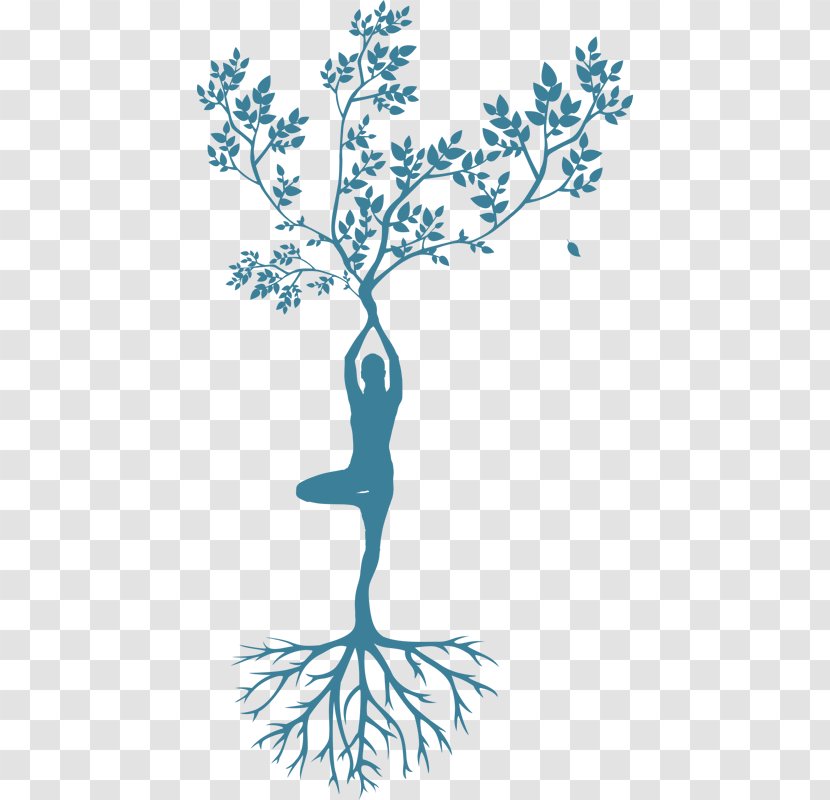 Tree Branch Silhouette - Drawing - Twig Line Art Transparent PNG