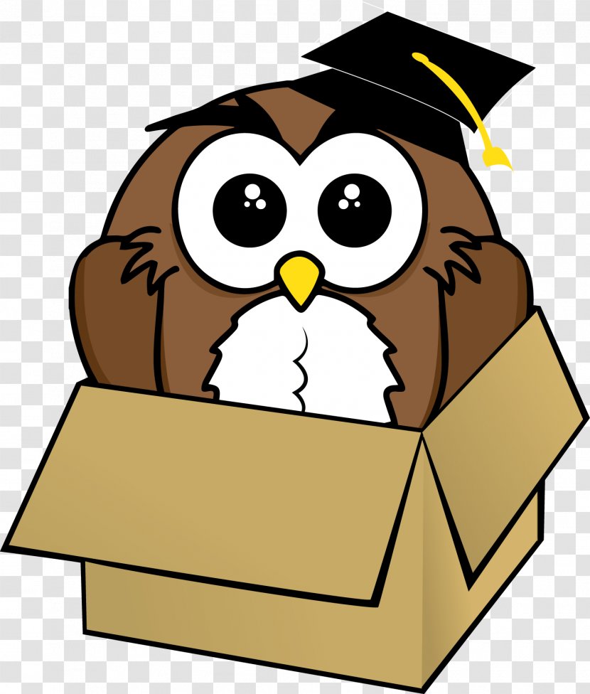 Owl Drawing Image Cartoon Bird - Animated Transparent PNG