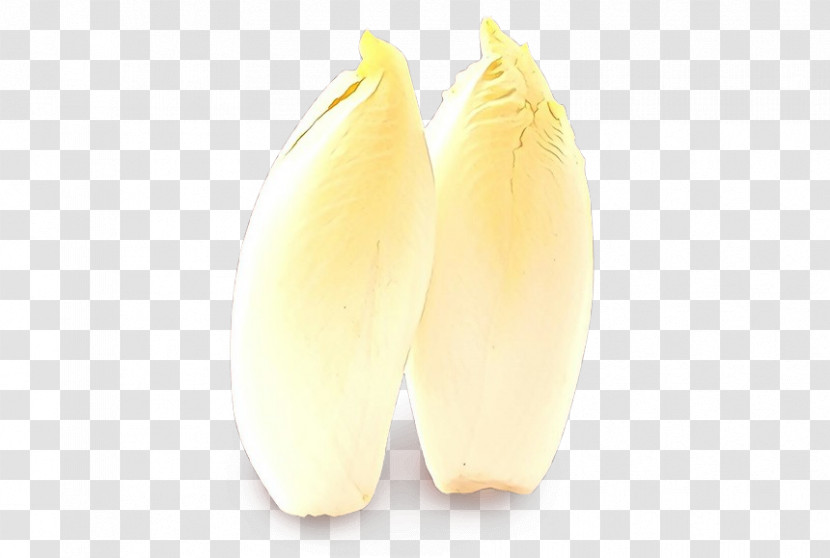 Yellow Plant Endive Vegetable Transparent PNG