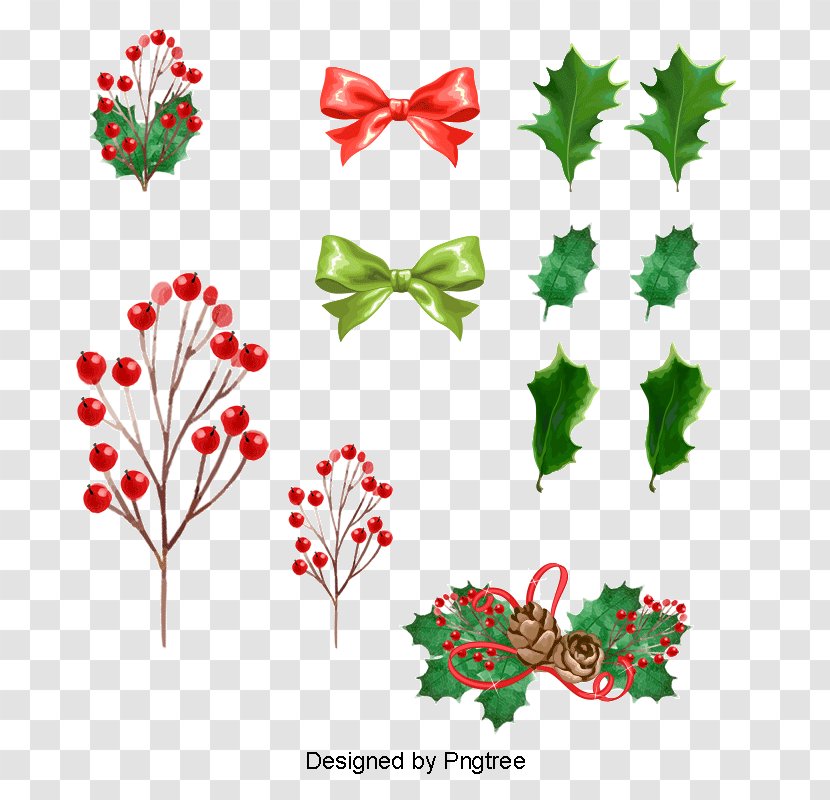 Christmas Tree Drawing - Day - Flower Plant Transparent PNG
