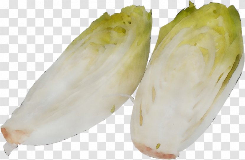 Food Plant Endive Caigua Vegetable - Leaf Transparent PNG