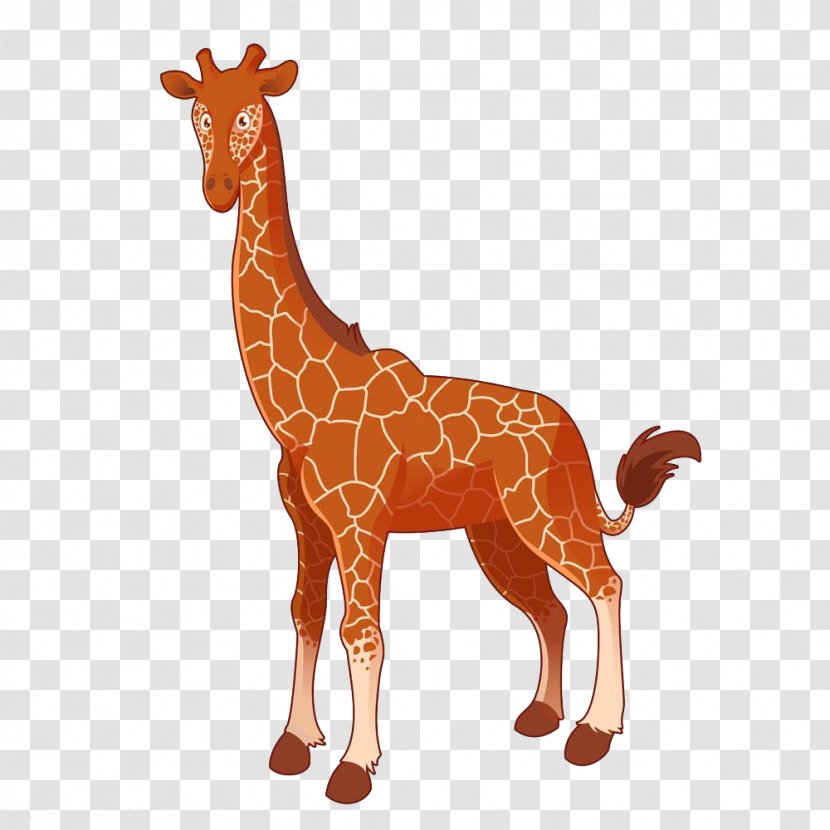 Giraffe Cartoon Royalty-free Illustration - Terrestrial Animal Transparent PNG