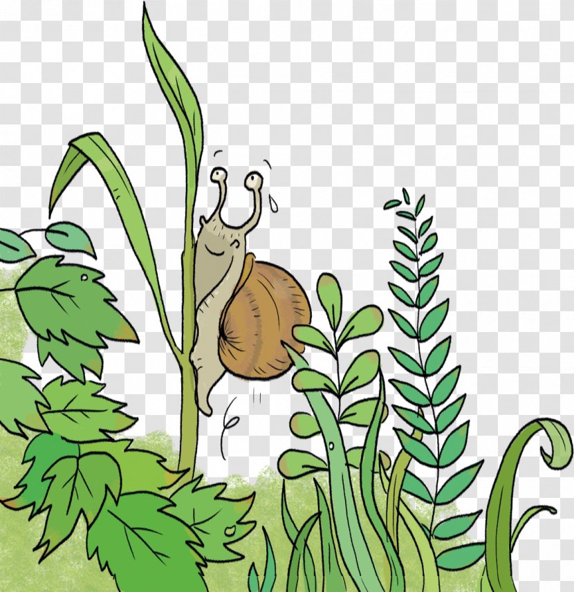 Clip Art Illustration Snail Insect Leaf - Train - Escargot Sans Coquille Transparent PNG