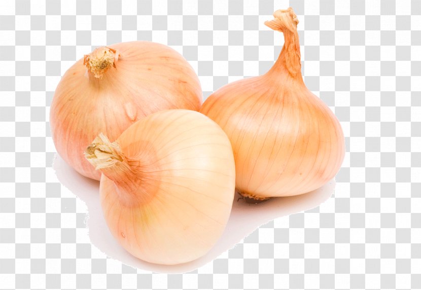 Garlic Vegetable Food Transparent PNG