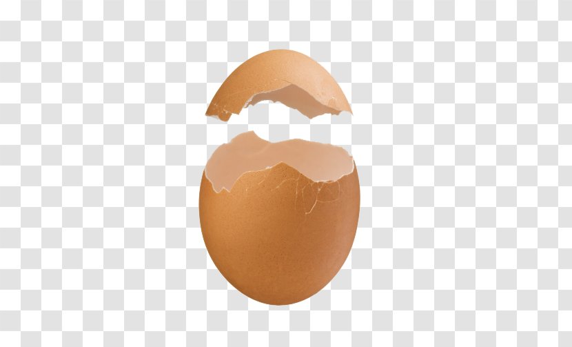 Eggshell Peel - Yellow - Eggshell,Free To Pull The Transparent PNG