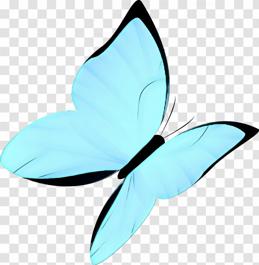 Aqua Turquoise Blue Clip Art Leaf - Moths And Butterflies Petal Transparent PNG