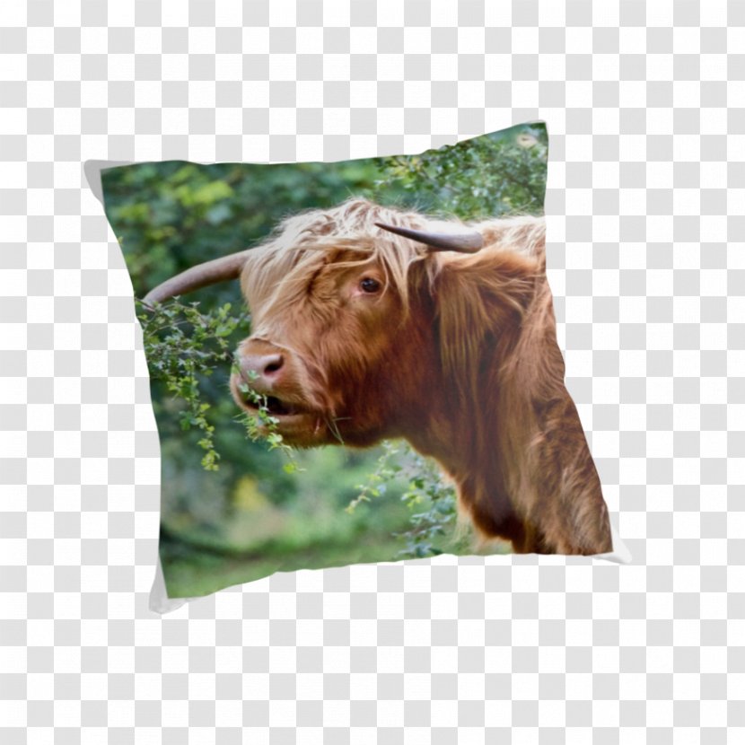 Cattle Cushion Pillow Wildlife Snout - Like Mammal - Highland Cow Transparent PNG