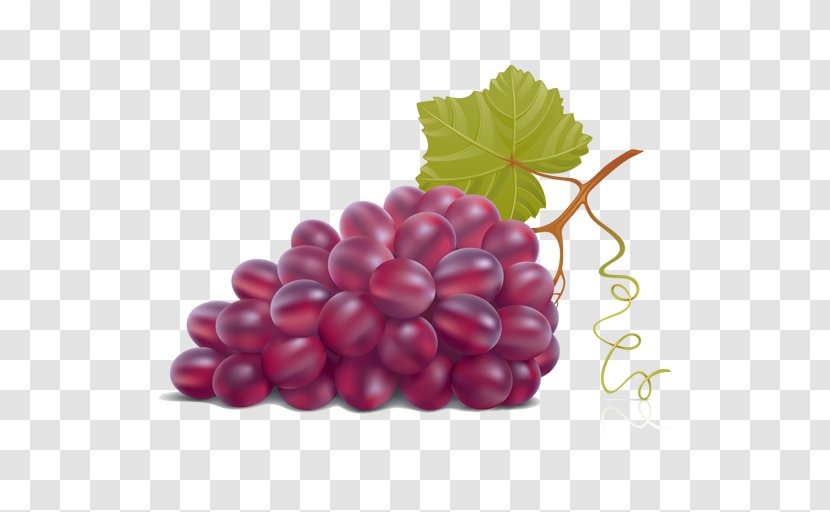 Kyoho Juice Wine Grape - Lingonberry Transparent PNG