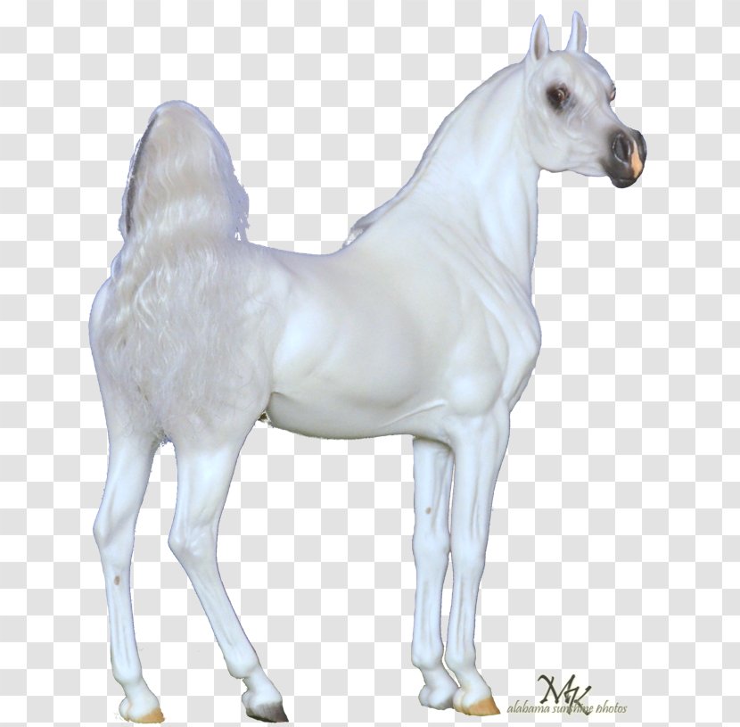 Stallion Mustang Foal Mare Colt - Figurine Transparent PNG