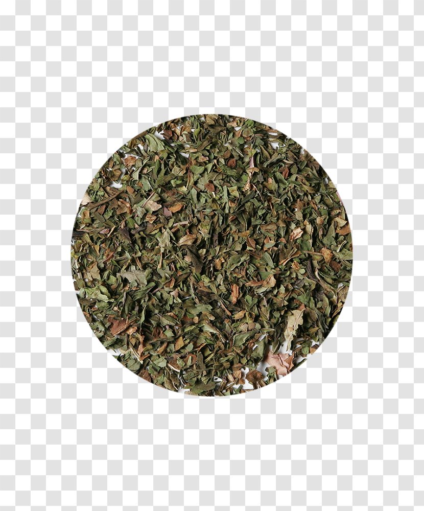 Sencha Green Tea Coffee Camellia Sinensis Transparent PNG