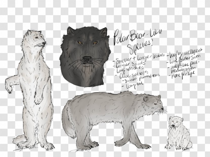 Cat Lion Dog Mammal Terrestrial Animal - Fauna Transparent PNG