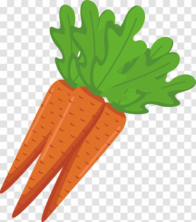 Carrot Vegetarian Cuisine Veggie Burger Food - Daucus Carota - Vector Cartoon Transparent PNG