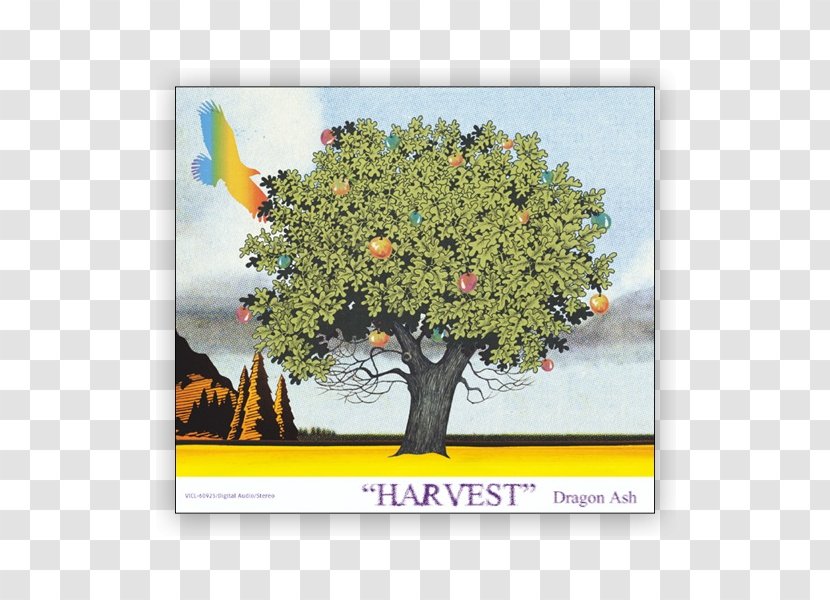 Harvest Dragon Ash Album Río De Emoción Fantasista - Heart - Underground Electro Transparent PNG