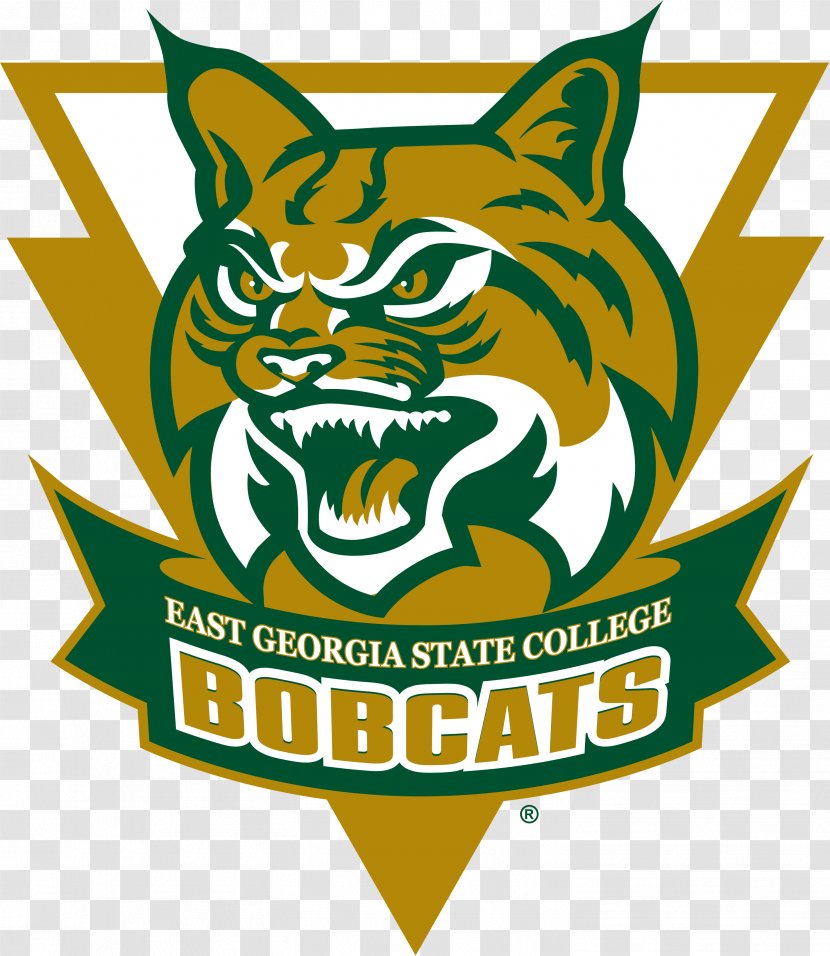 East Georgia State College & University Of Statesboro - Green - Baseball Transparent PNG