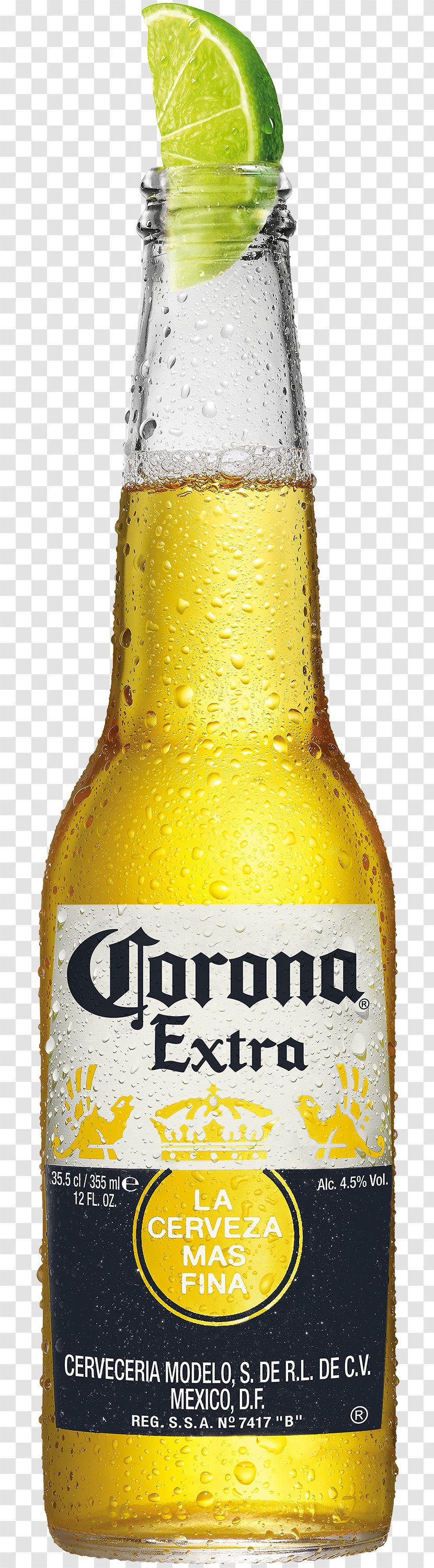 Corona Beer Lager Grupo Modelo Budweiser - Brewing Transparent PNG
