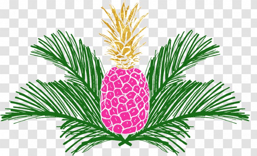 Pineapple Image Transparency Clip Art - Pine Family - Gold Transparent PNG