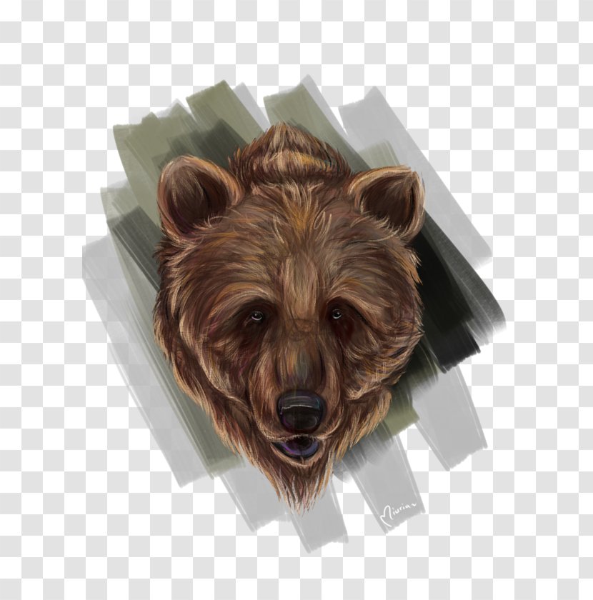 Grizzly Bear Fur Alaska Peninsula Brown Snout Transparent PNG