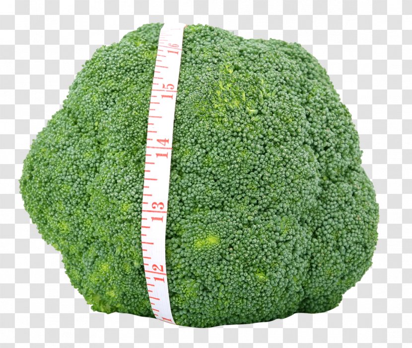 Broccoli Vegetable Appetite Food Cauliflower - Tree - Fresh Green Transparent PNG