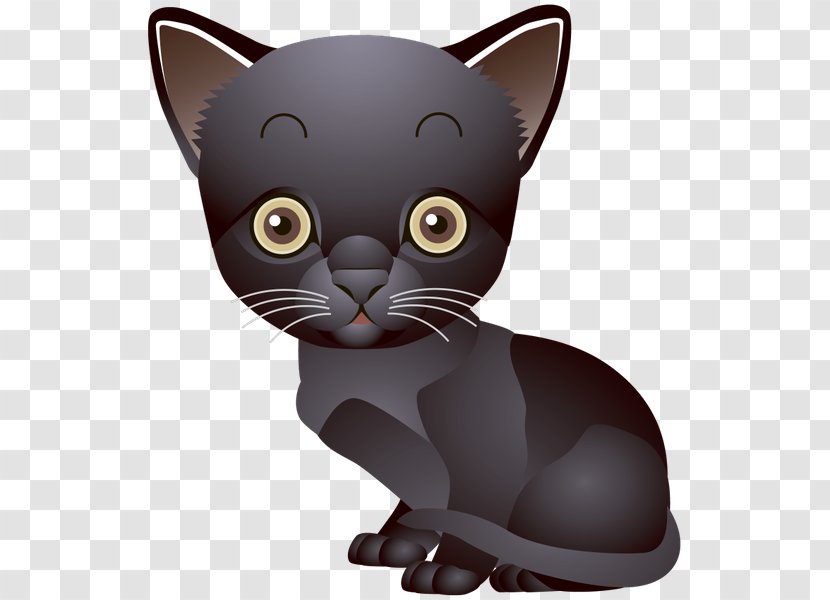 Kitten Black Cat Transparent PNG