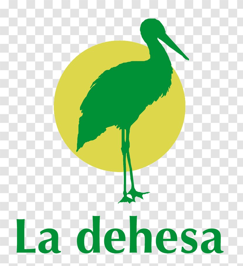 Restaurante La Dehesa • PISCINA EVENTOS ACTUACIONES Menu Swimming Pool Beak - Water Bird - Alberca Transparent PNG