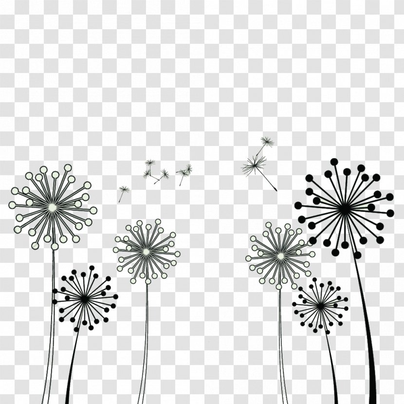 Common Dandelion Taraxacum Platycarpum Clip Art Transparent PNG