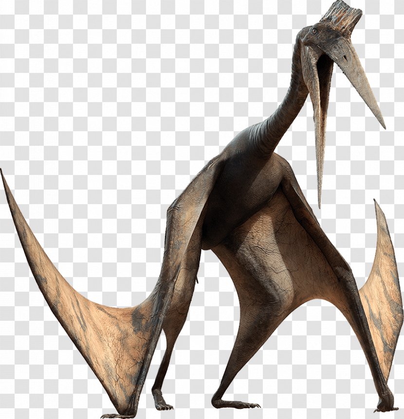 Pterosaurs Quetzalcoatlus Dinosaur Pachyrhinosaurus ARK: Survival Evolved - Prehistoric Planet Transparent PNG
