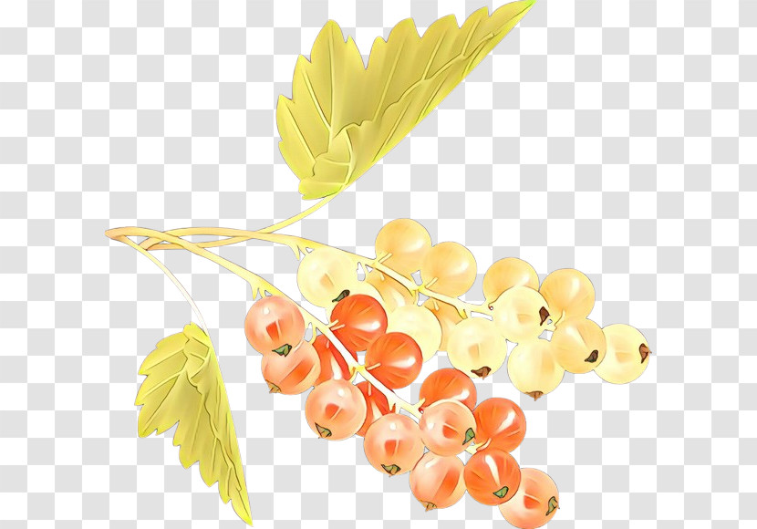 Leaf Plant Fruit Grape Food Transparent PNG