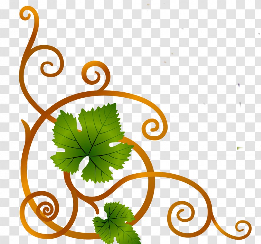 Common Grape Vine Wine Sultana Vector Graphics - Artwork Transparent PNG