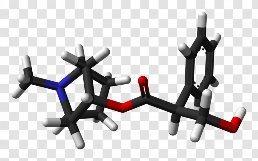 Belladonna Atropine Hyoscyamine Hyoscine Alkaloid - Tropane - Inferno Transparent PNG