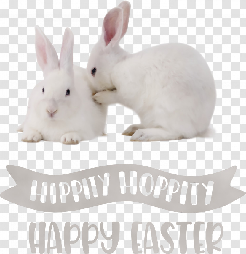 Easter Bunny Transparent PNG