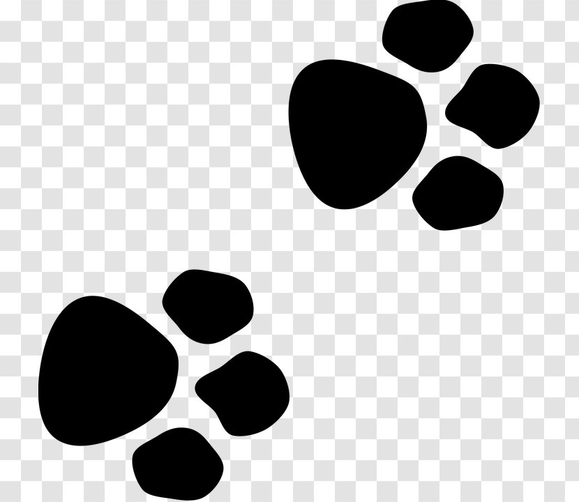 Wildcat Dog Paw Bear - Black Transparent PNG