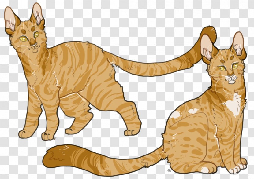 Whiskers Tabby Cat Wildcat Dog - Animal - Ashen Transparent PNG