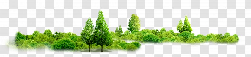 Tree House Download - Google Chrome - Vision Grass Group Transparent PNG