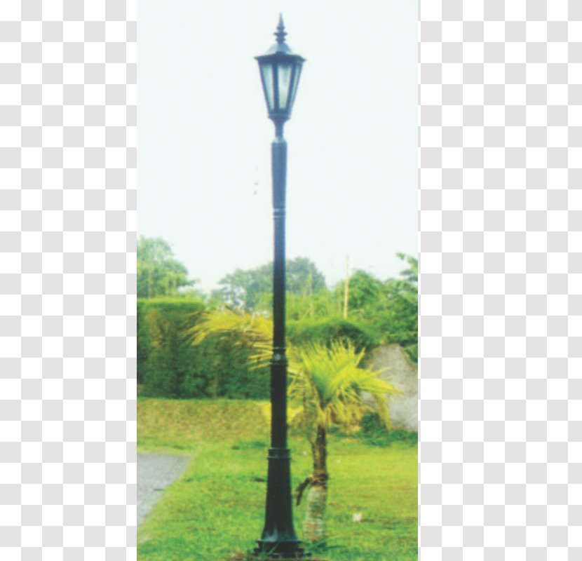 Street Light Parking Lamp Utility Pole Road - Grass Transparent PNG