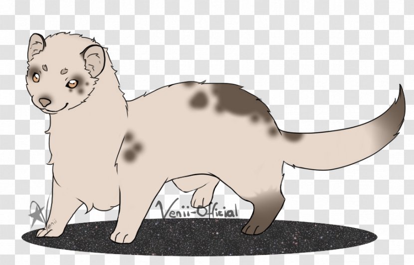 Cat Rat Mammal Drawing Whiskers - Tail - Milky Way Transparent PNG