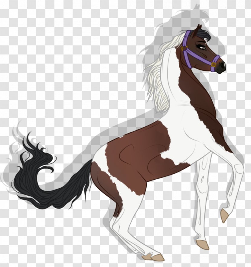 Mane Mustang Stallion Foal Colt - Pack Animal Transparent PNG