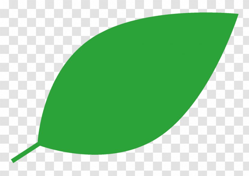Green Leaf Line - Grass - One Word Transparent PNG