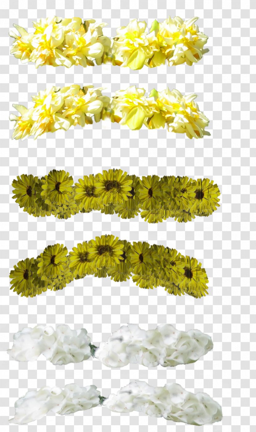 Crown Flower Wreath - Organism - 16 Transparent PNG