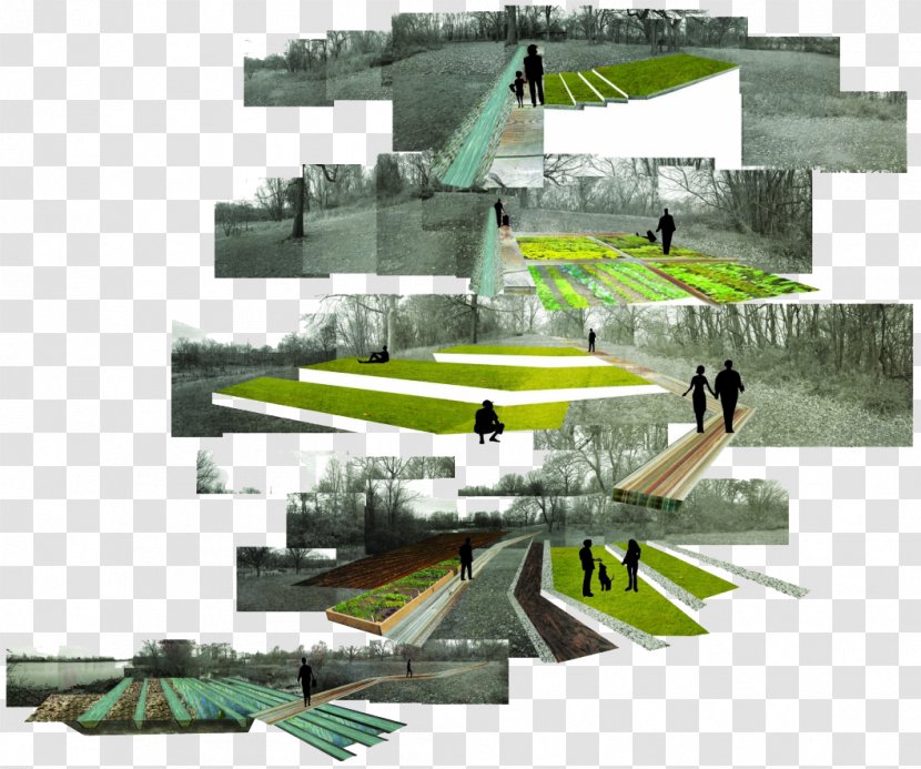 University Of Pennsylvania School Design Landscape Architecture - A Set Hand-painted Color Renderings Park Transparent PNG