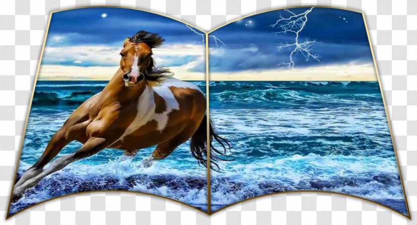 Sea Horse Wind Wave Animal GreatAmerica Financial Services Transparent PNG