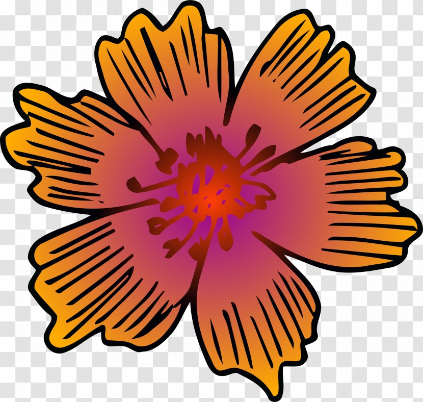 Clip Art Floral Design Petal Chrysanthemum Flower - Floristry Transparent PNG