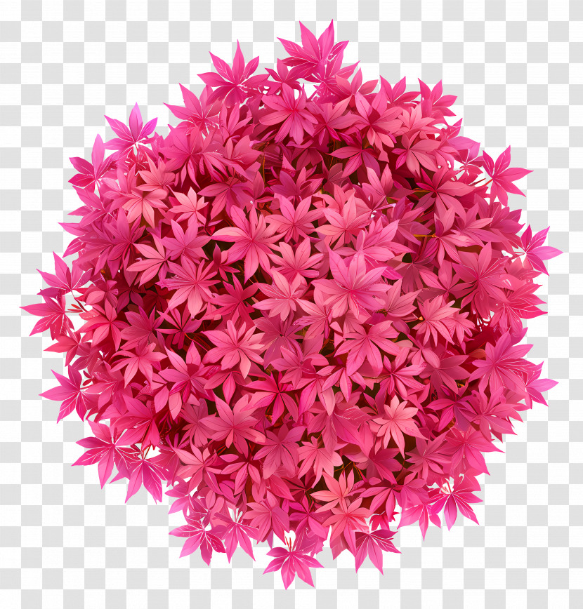 Tree Plan - Vibrant Pink Leaves Cluster Transparent PNG